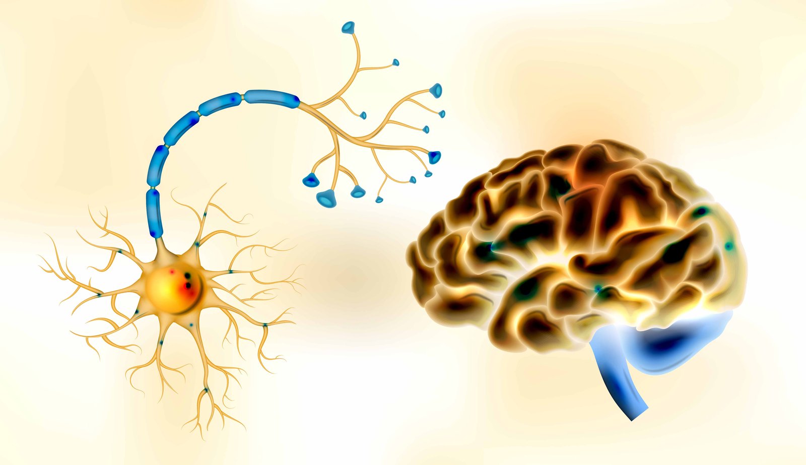 Terapias de neurorehabilitación